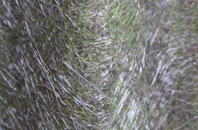 Totardor fibreglass roof work